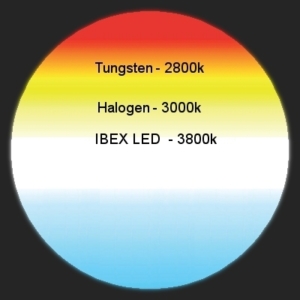 Binocular Indirect Ophthalmoscopes color temp