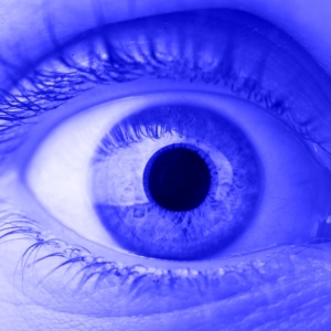 Blue Light Filter - Slit Lamp - at IBEXeye.com